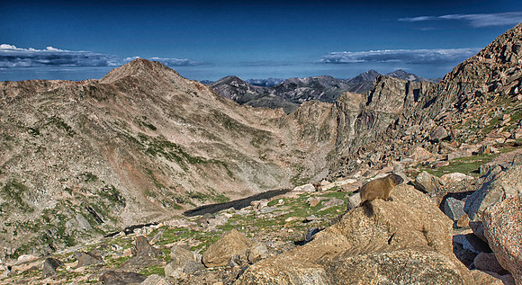Baby Marmot-Scape-4881