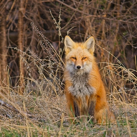 DSC03245_Export