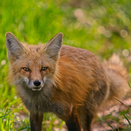 DSC04963_Export