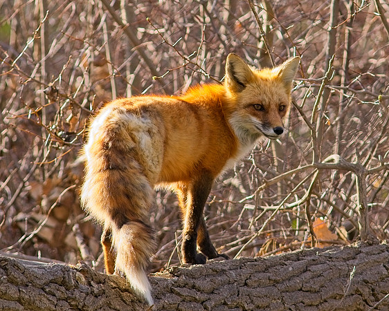 DSC04033_Export
