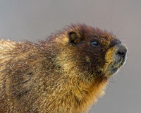 Mt Evans 8-21 (291)