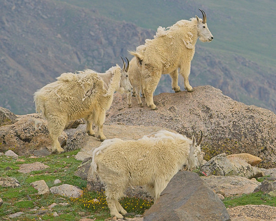 _DSC5612_Export