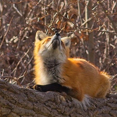 DSC04069_Export