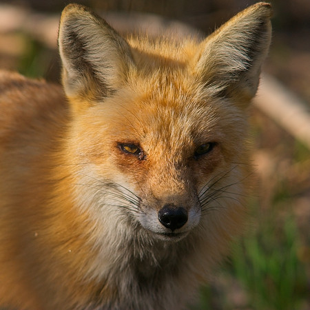 DSC04713_Export