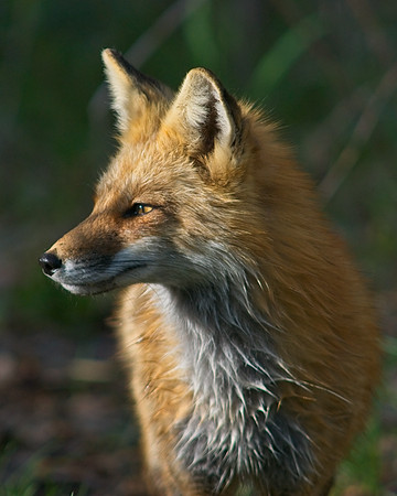 DSC04839_Export