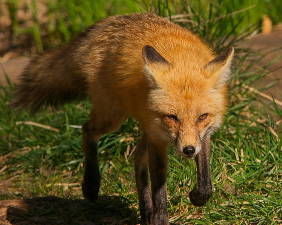 DSC04672_Export