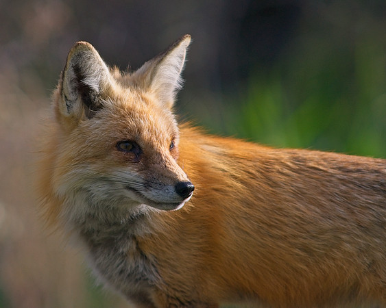 DSC04893_Export