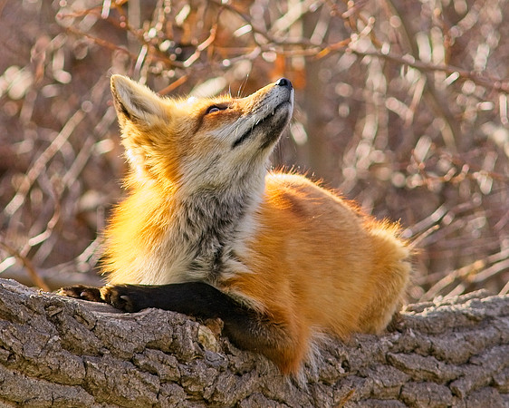 DSC04119_Export
