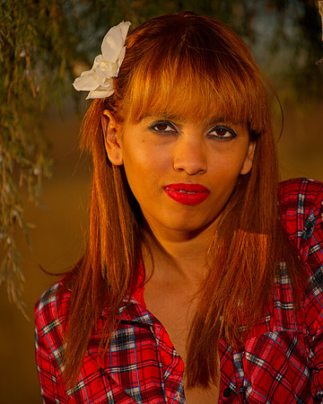 Kat RMA-06531_Export