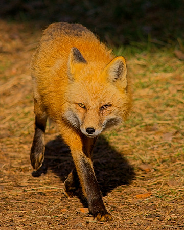 DSC05800_Export