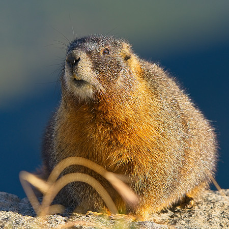 Mt Evans (44)