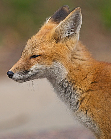 _JAY3428