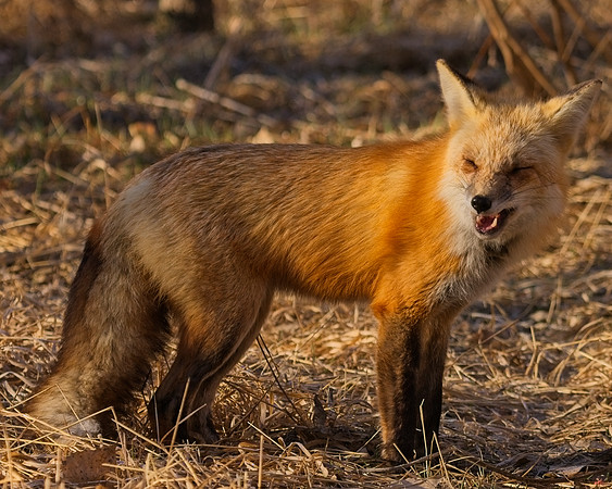 DSC03077_Export