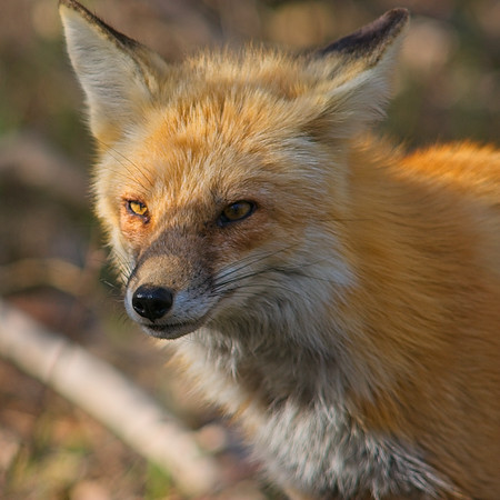 DSC04694_Export
