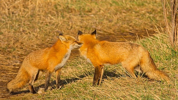 DSC03204_Export