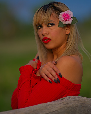 Kat-CHP-30045_Export