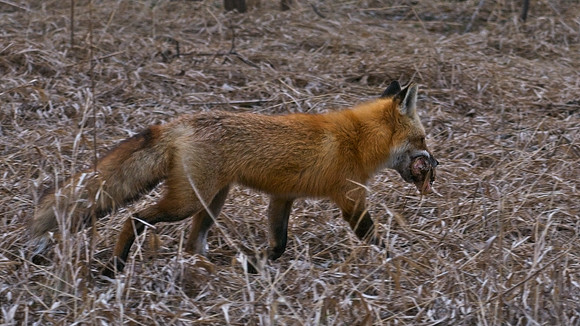 DSC02320_Export
