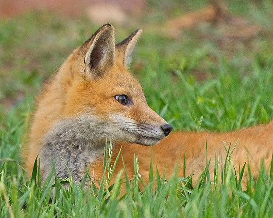 _JAY2276