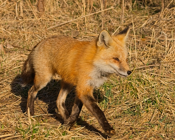 DSC03102_Export