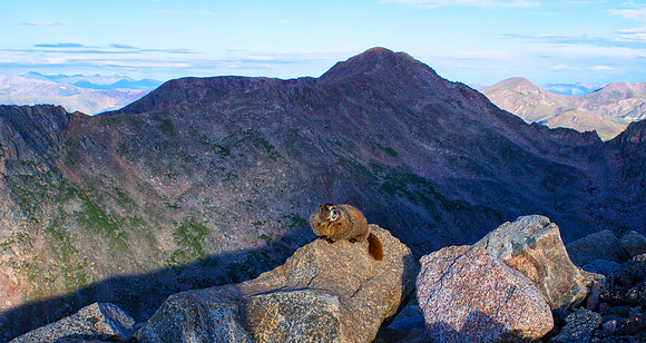 WAW-Marmot-5073-5073