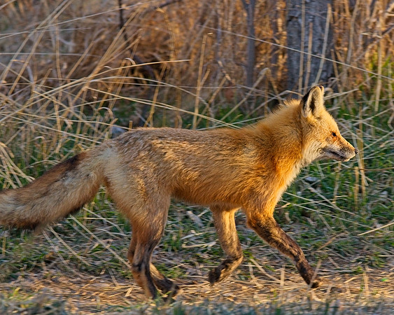 DSC03308_Export