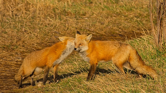 DSC03180_Export