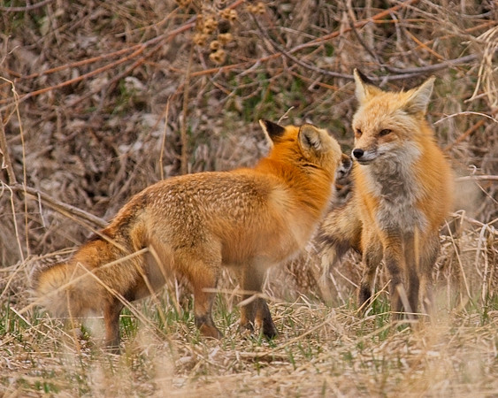 DSC03418_Export
