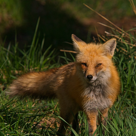 DSC04687_Export