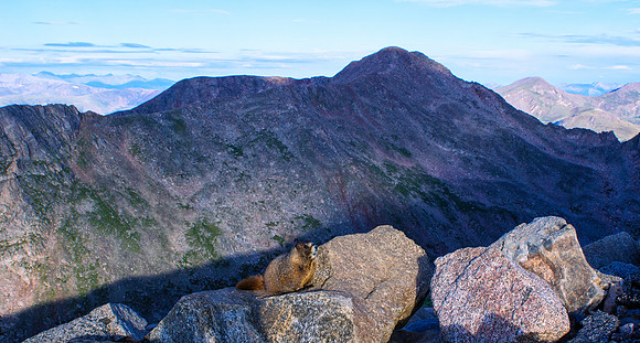 WAW-Marmot-5091-5091