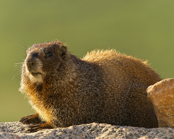 MT EVANS 7-4 (16)