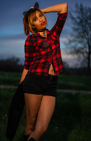 Kat-Kitten-09676