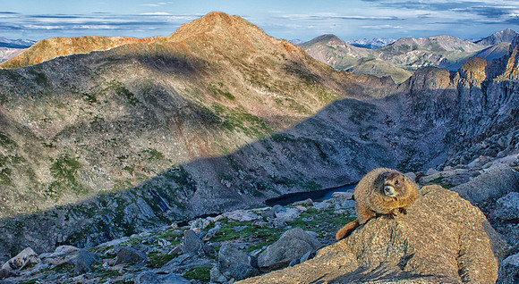 WAW-Marmot-5278-5278