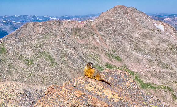 WAW-Marmot-6650-