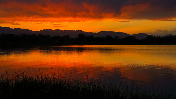 untitled-08097_Export