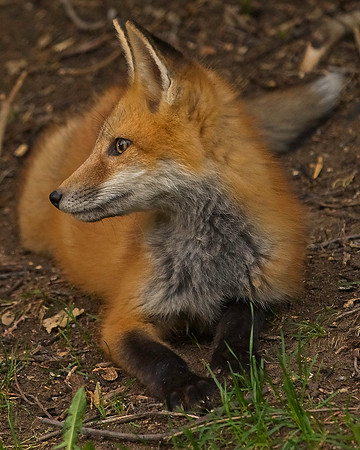 _JAY2544