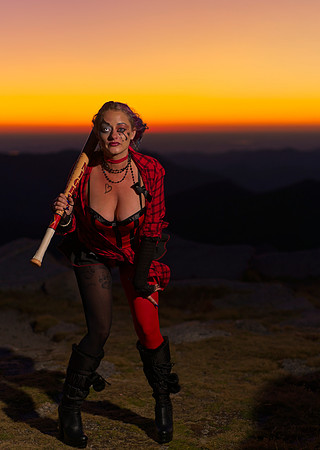 Harley (5)