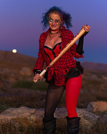 Harley (14)