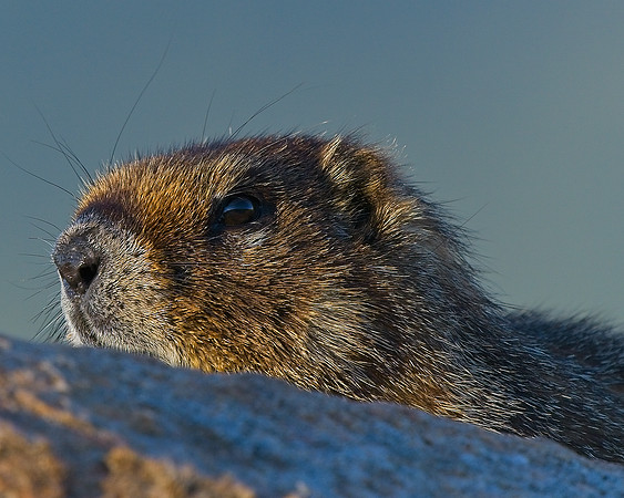 Mt Evans 7-30 (30)