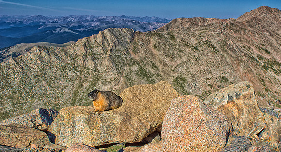 Marmot Scape-6250