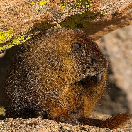 MT EVANS 7-23 (164)