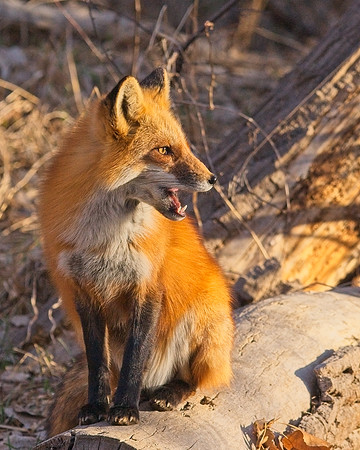 DSC02774_Export
