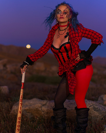 Harley (12)