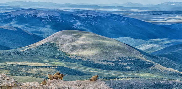 WAW-Marmot Family Portrait-5473-5473