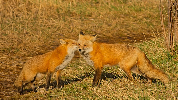 DSC03175_Export