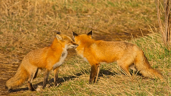 DSC03203_Export