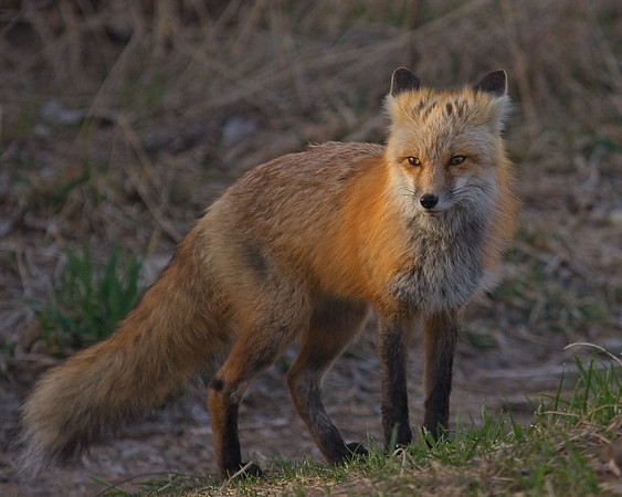 DSC03129_Export