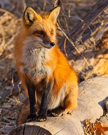 DSC02779_Export