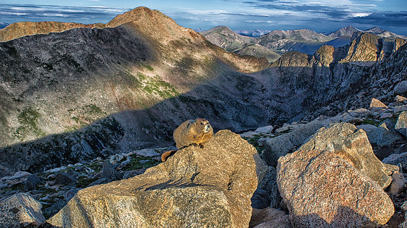 WAW-Marmot-5244-5244