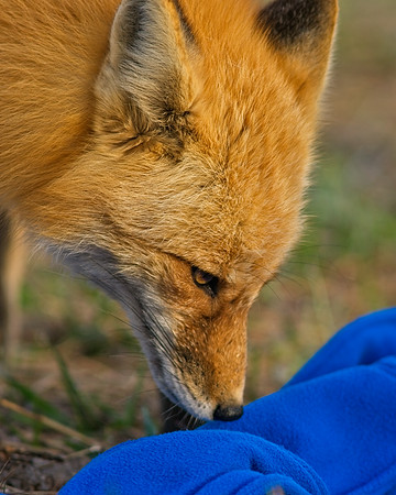 DSC01172_Export