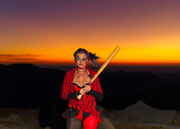 Harley (1)